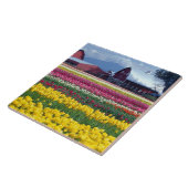 Tulipenschauplatz Fliese (Seite)