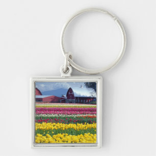Tulipenschauplatz Schlüsselanhänger