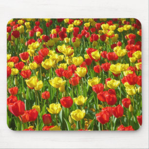 Tulipensee III Mousepad