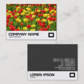 Tulipensee III Visitenkarte (Vorne/Hinten)