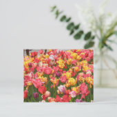 Tulipental Postkarte (Stehend Vorderseite)
