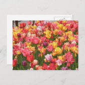 Tulipental Postkarte (Vorne/Hinten)