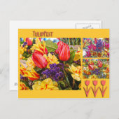 Tulipfest Tulpe-Postkarten-Frühlings-Blumen Postkarte (Vorne/Hinten)