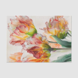 TULIPMANIA 4/6 blendende Papagei-Tulpendesigns Seidenpapier