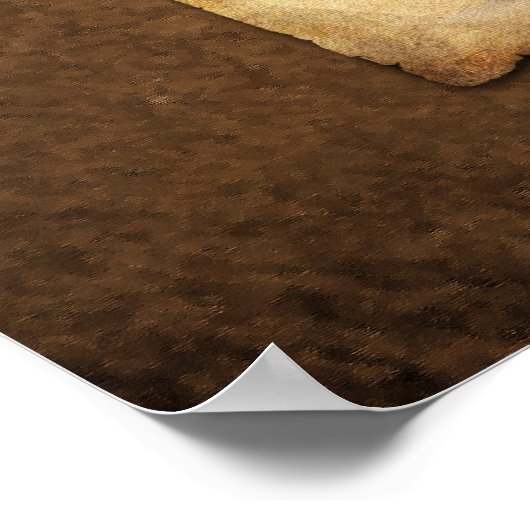 Tulipomanie Poster (Ecke)