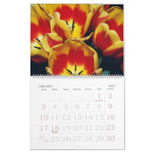 Tulipomanischer Kalender (Jan 2027)