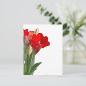 Tulips (Stehend Vorderseite)