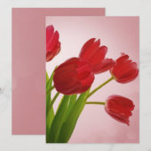 Tulips (Vorne/Hinten)