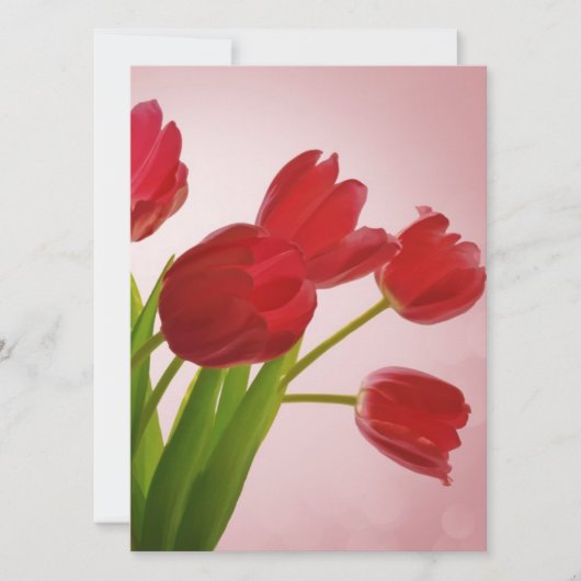 Tulips (Vorderseite)