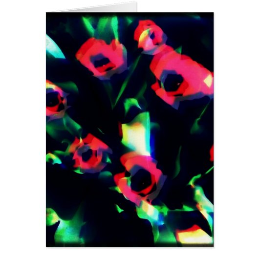 Tulips (Vorne)