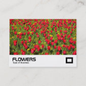 Tulips 02 visitenkarte (Vorderseite)