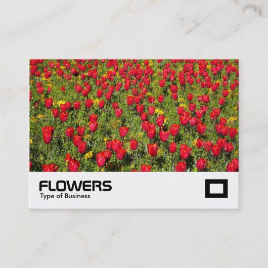 Tulips 02 visitenkarte (Vorderseite)