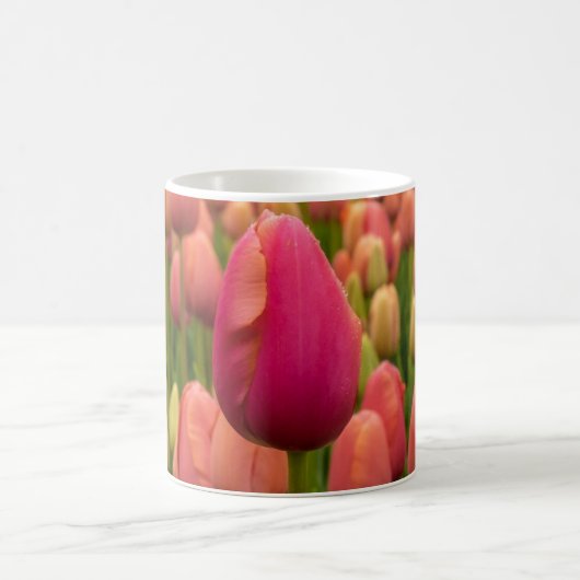 Tulips 11 oz oder 15 oz Tasse (Mittel)