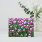 Tulips 14 Postkarte (Stehend Vorderseite)