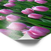 Tulips 14 Print Fotodruck (Ecke)