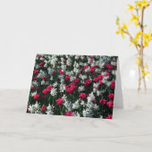 Tulips 16 Blankokarte Karte (Gelbe Blume)