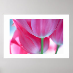 Tulips #2-Poster Poster