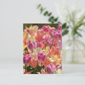 Tulips #2 postkarte (Stehend Vorderseite)