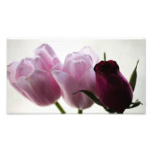 Tulips 3258 fotodruck (Vorne)