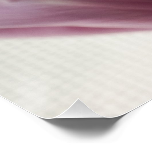 Tulips 3258 poster (Ecke)