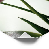 Tulips 3259 fotodruck (Ecke)