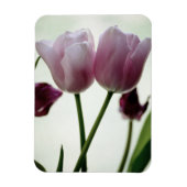 Tulips 3259 magnet (Vertikal)