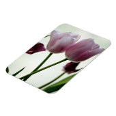 Tulips 3259 magnet (Linke Seite)