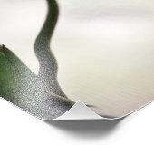 Tulips 3265 fotodruck (Ecke)