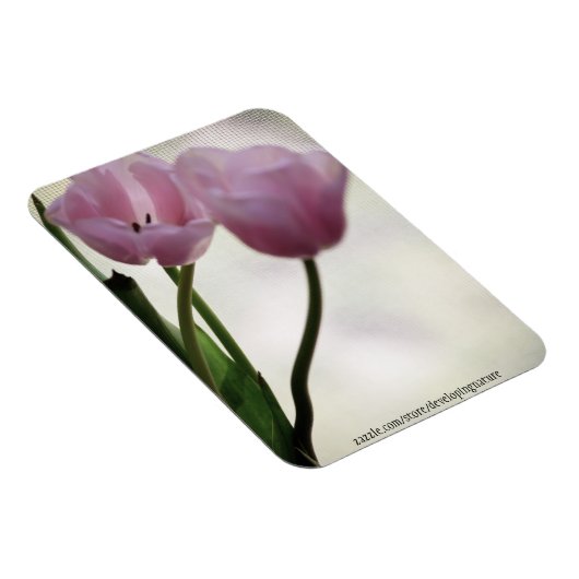 Tulips 3265 magnet (Rechte Seite)