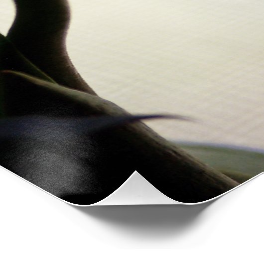 Tulips 3265 poster (Ecke)