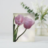 Tulips 3265 postkarte (Stehend Vorderseite)