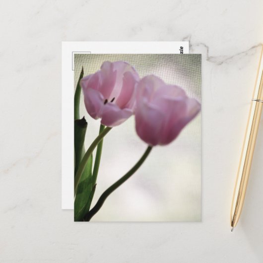 Tulips 3265 postkarte (Vorderseite/Rückseite Beispiel)