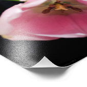 Tulips 3272 fotodruck (Ecke)