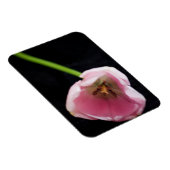 Tulips 3272 magnet (Rechte Seite)