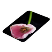 Tulips 3272 magnet (Linke Seite)