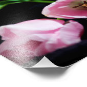 Tulips 3273 fotodruck (Ecke)