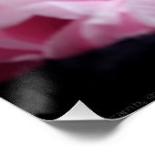 Tulips 3273 poster (Ecke)