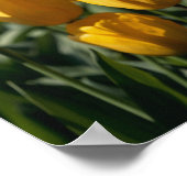Tulips 3 poster (Ecke)