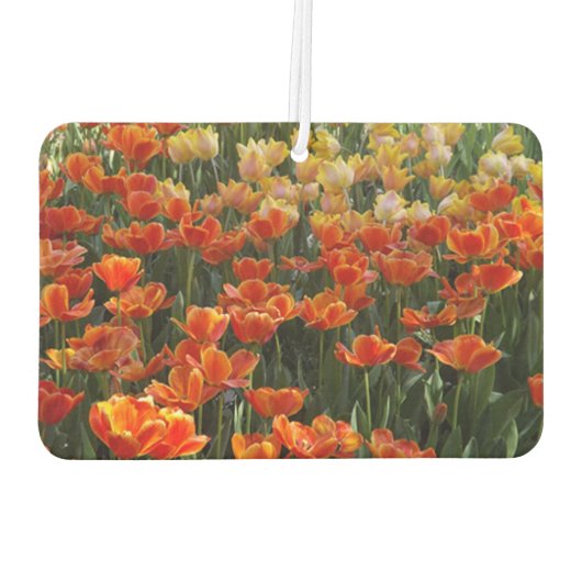 Tulips Air Freshener Autolufterfrischer (Rückseite)