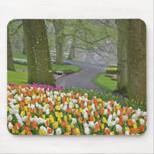 Tulips and road, Keukenhof Gardens, Lisse, Mousepad