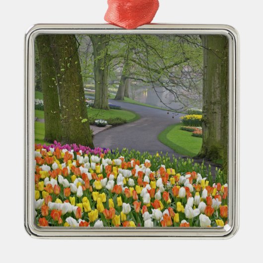 Tulips and road, Keukenhof Gardens, Lisse, Ornament Aus Metall (Vorne)
