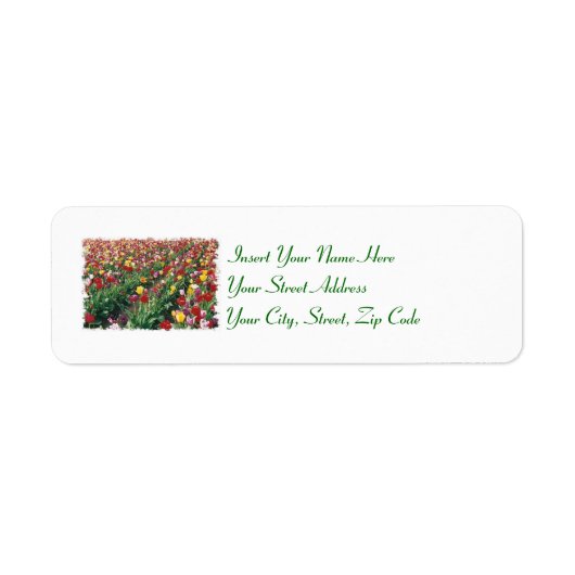 Tulips Anpassbare Labels (Vorne)