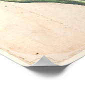 Tulips Antique Botanic Print Poster (Ecke)