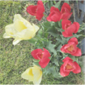 Tulips Aufkleber (Vorderseite)