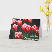Tulips aus Amsterdam Karte (Gelbe Blume)