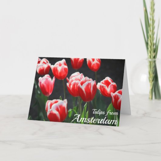 Tulips aus Amsterdam Karte (Vorderseite)