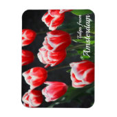 Tulips aus Amsterdam Magnet (Vertikal)