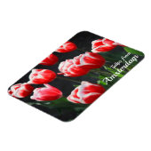 Tulips aus Amsterdam Magnet (Linke Seite)