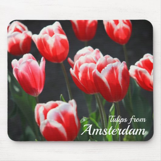 Tulips aus Amsterdam Mousepad (Vorne)