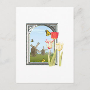 Tulips aus Amsterdam Postkarte